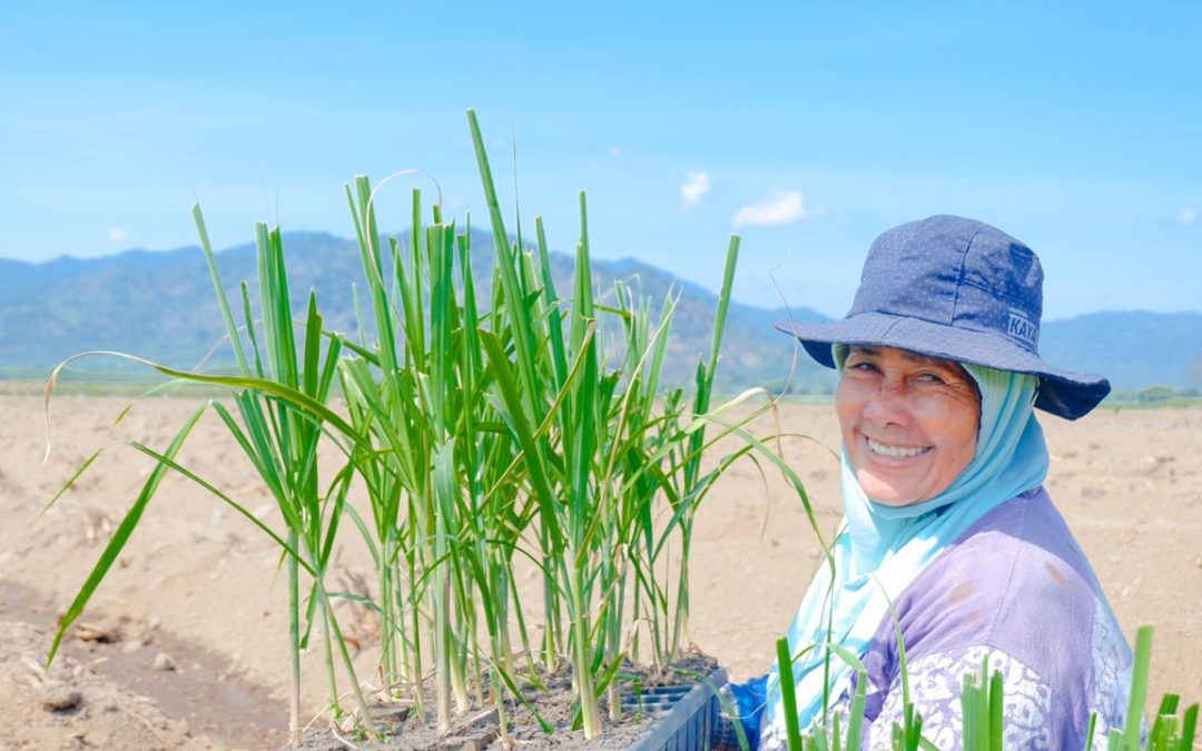 Pandawa Agri Indonesia