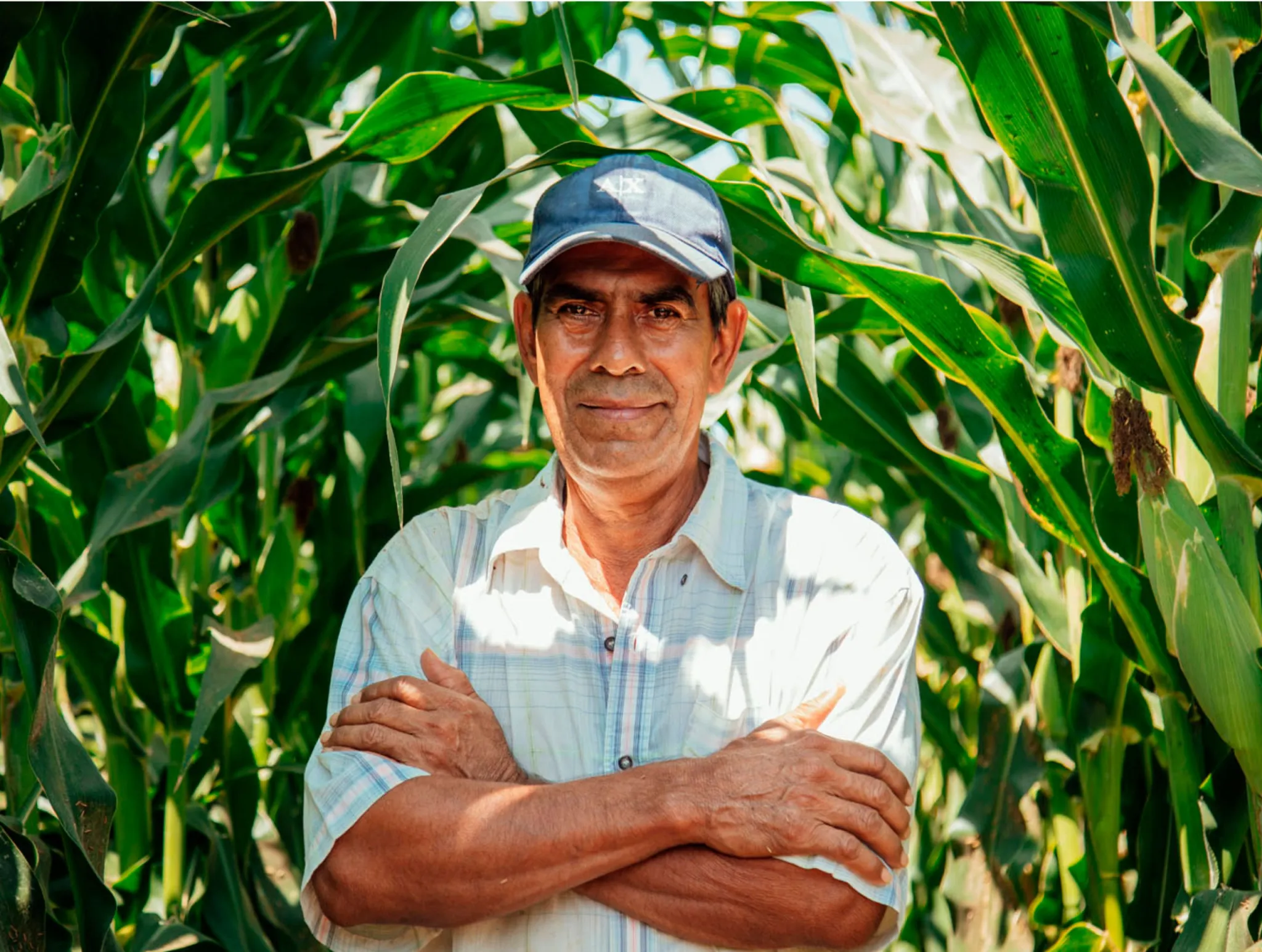 food-for-education-rippleworks