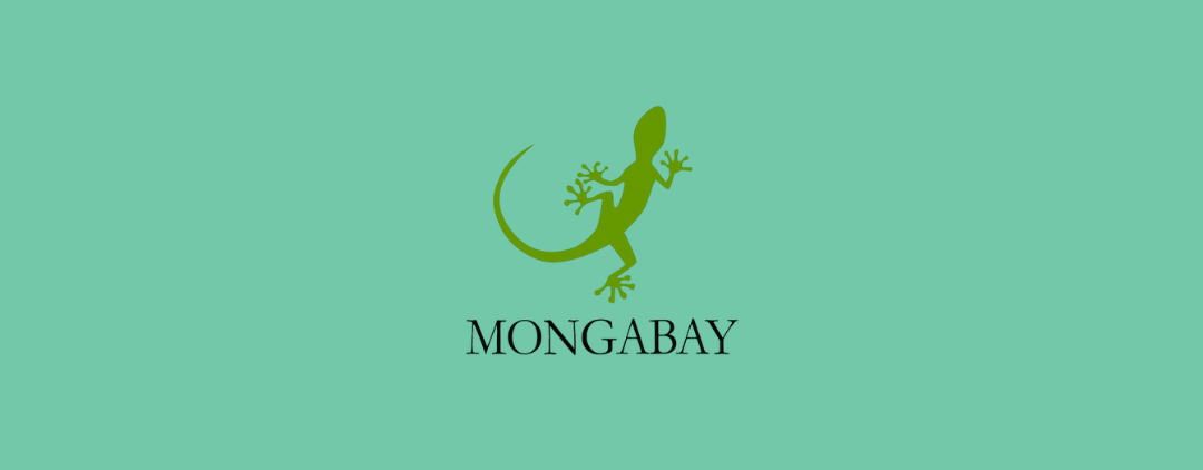 Mongabay